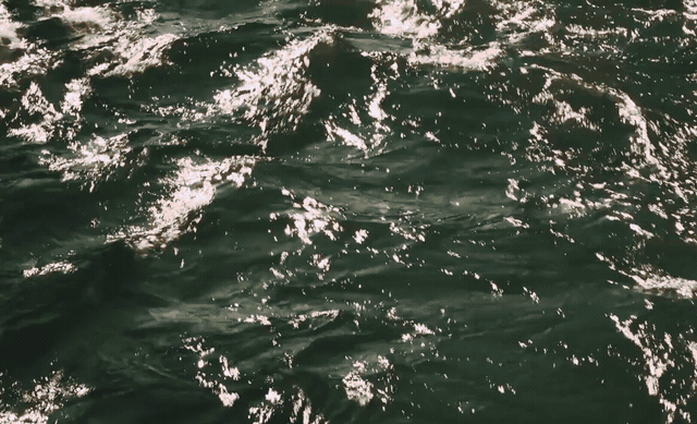Deep green ripples on the lake